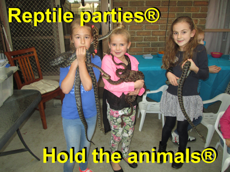 kids parties